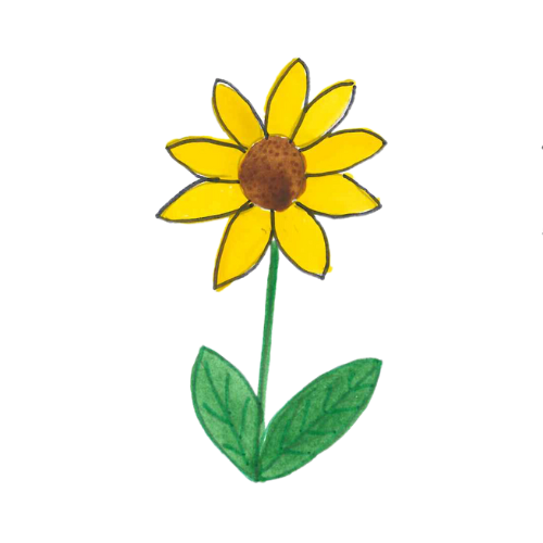 Samantha Sunflower